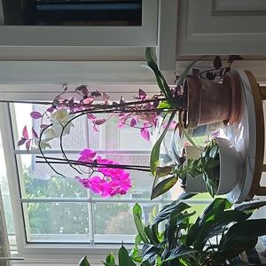 Meet your Posher, Esther